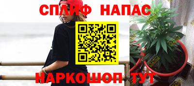 дмт Пушкино