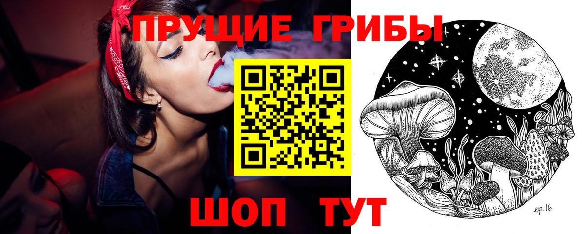 Галлюциногенные грибы GOLDEN TEACHER  Псилоцибиновые грибы Psilocybine cubensis  Новоуральск  Вход с VPN 